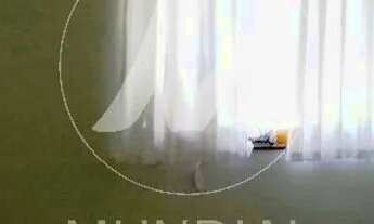 Imagem 10: Apartamento (tipo - padrao) 3 dormitórios/suite, cozinha planejada, portaria 24 horas, ele