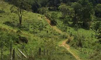 Imagem 4: Fazenda Bela Vista