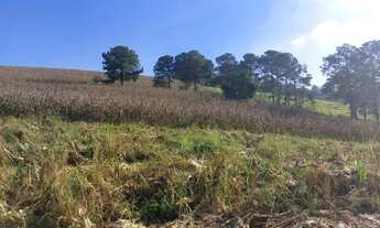 Imagem 3: Lotes de 600m² Terreno / lote com venda por R$75.000