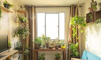 Imagem 7: Apartamento para Aluguel - Ponte Rasa, 2 Quartos, 50 m2