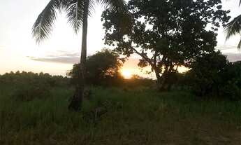 Imagem 6: Terreno Japaratinga 1km da praia - 1394m2