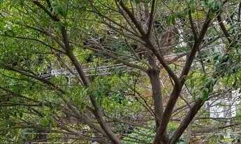 Imagem 7: Apartamento á venda no Cambuci de 02 dormitórios com 81 m²