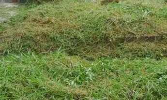 Imagem: Terreno quitado