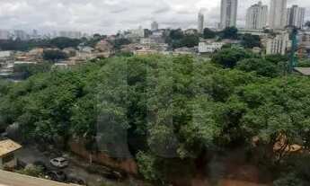 Imagem 5: Apartamento em São Paulo, Bairro Jaguaré, 50m2, 02 dormitórios, sala, piso porcelanato, co