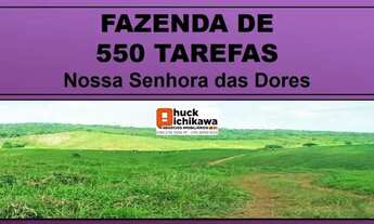 Imagem: FAZENDA DE 550 TAREFAS - Nossa Senhora das