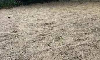 Imagem 2: Vendo terreno próximo a taiba em São Gonçalo do Amarante