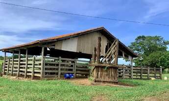 Imagem 6: Sitio de 12 alqueires próximo a Catanduva-SP