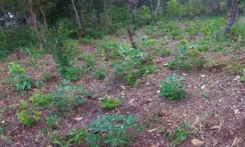 Imagem 3: Vendo ou troco CHÁCARA