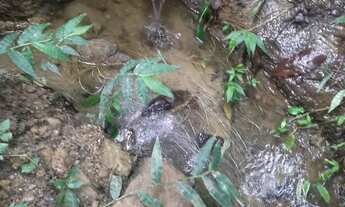 Imagem 2: Vendo terreno escriturado