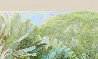 Imagem 4: Rio de Janeiro - Apartamento Padrão - Gávea