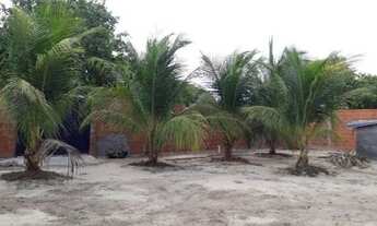 Imagem 3: Vendo ou Troco Mini Sítio em Pacajus. Valor R$ 90,000 _ (85) 9. *