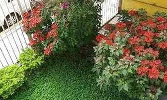 Imagem 6: SOBRADO MISTO VENDA E LOCAÇÃO REGIÃO DO BROOKLIN !