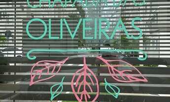 Imagem 3: Parque Chapada das Oliveiras