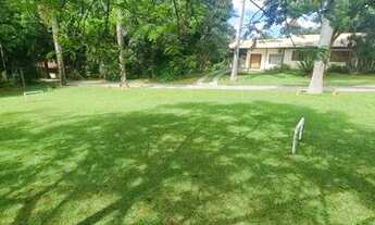 Imagem 3: Lote escriturado em Arniqueiras, VEREDA DA CRUZ