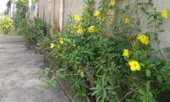 Imagem: Marambaia / Bom Retiro são gonçalo Rj