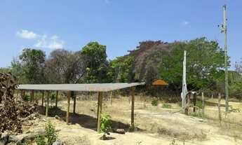 Imagem 2: Fazenda - Centro - São Romão