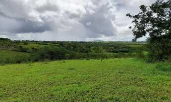 Imagem 5: Terreno com 240 m2