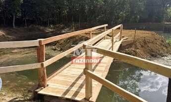 Imagem 7: Chácara 7 alqueires (33,88 hectares). Guapó - GO