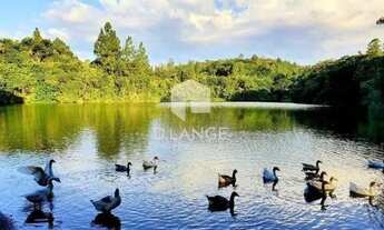 Imagem: Terreno à venda no bairro Joaquim Egídio