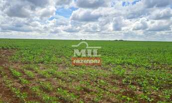 Imagem 3: Fazenda 75 alqueires (363 hectares) Acreuna - Go