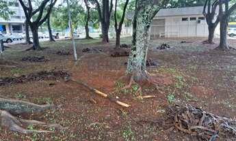 Imagem 2: Terreno Comercial de 250 m² no Cruzeiro Velho, Brasília - Venda R$ 1.160.000,00