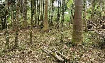 Imagem 6: Chacara belas Áreas Roseira Colombo/ Campina Grande do Sul