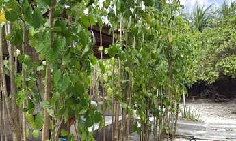 Imagem 3: Sítio/Chacara Chácara com venda por R$548.000