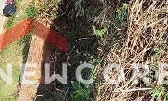 Imagem 6: Lote em Rua Leonor Martins Junqueira - Vivenda Cote Gil - Olímpia/SP