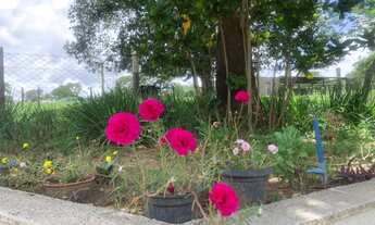 Imagem 7: Chácara em Varjão-Go