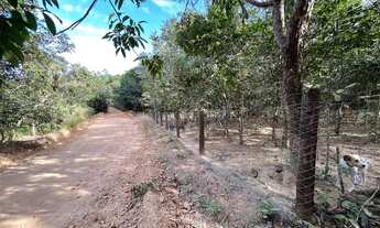 Imagem 4: Chácara Terra Mãe