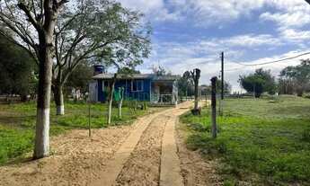 Imagem 2: Velleda oferece magnífico sítio completo em Águas Claras, galpão, piscina, galinheiro e fr