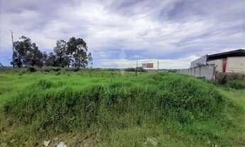 Imagem 5: Terreno à venda, RIO PEQUENO , SAO JOSE DOS PINHAIS - PR