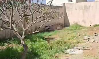 Imagem 6: ótimo lote de 200m² - Trecho 03 da Vicente Pires