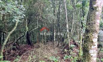 Imagem 7: Lote em Rua 21 - Alpes - São Francisco de Paula/RS