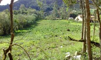 Imagem: Chácara Eucalipto na Violeira- Em Viçosa-MG