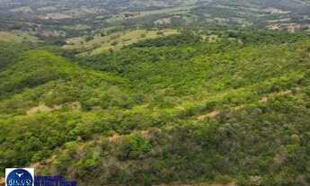Imagem 7: Fazenda à venda em São Miguel do Passa Quatro - GO