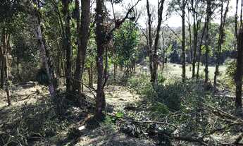 Imagem 5: Chácara em São José dos Pinhais