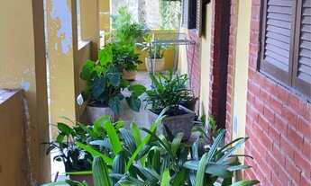 Imagem 7: Vendo mini Sítio !