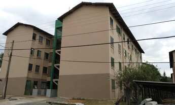 Imagem 5: Locação de apartamento no bairro Caique São Jose dor Rio Preto