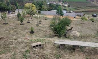 Imagem: Chácara em piedade