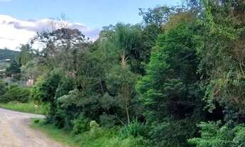 Imagem 3: CAXIAS DO SUL - Terreno Padrão - DESVIO RIZZO