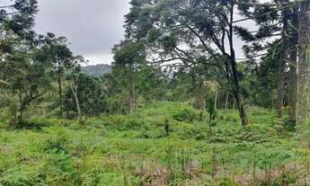 Imagem 5: Sítio no Morro da igreja/chácara em Urubici