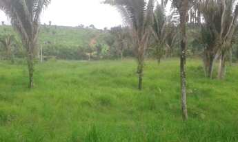 Imagem 6: Terra de 46 alqueiros na vicinal 3 barracas 30 de pastagem cercada, etc