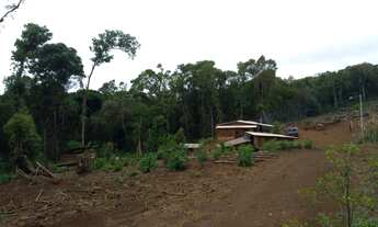 Imagem 6: Chácara em Guarapuava