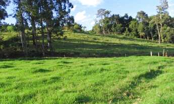 Imagem 3: Sítio para Venda