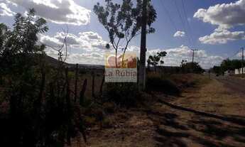 Imagem 2: Área 140 mil m² totalmente plana em Jacobina Bahia