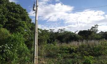 Imagem 6: Chacara 9.500m² com um barracão, muita água, terra boa/Jaboticatubas, temos varias opções