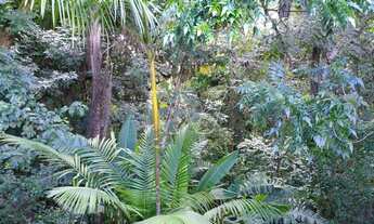 Imagem 7: Casa - Vila Santa Rita (Sousas) - Campinas