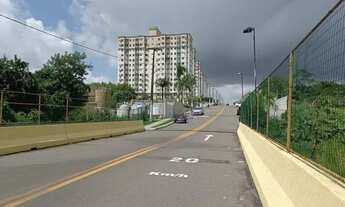 Imagem 4: Apartamento para Locação