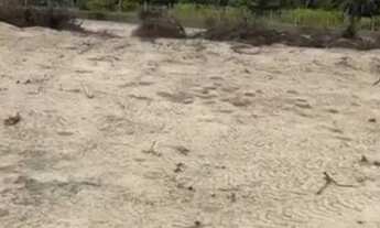 Imagem 2: Lote para chácara vizinho da TUACABANA